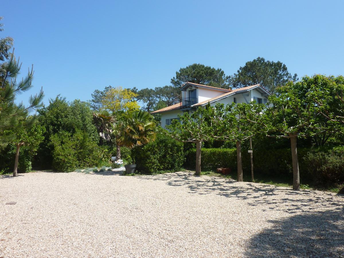 Maison Arbolateia avec piscine et Spa Bidart Extérieur photo