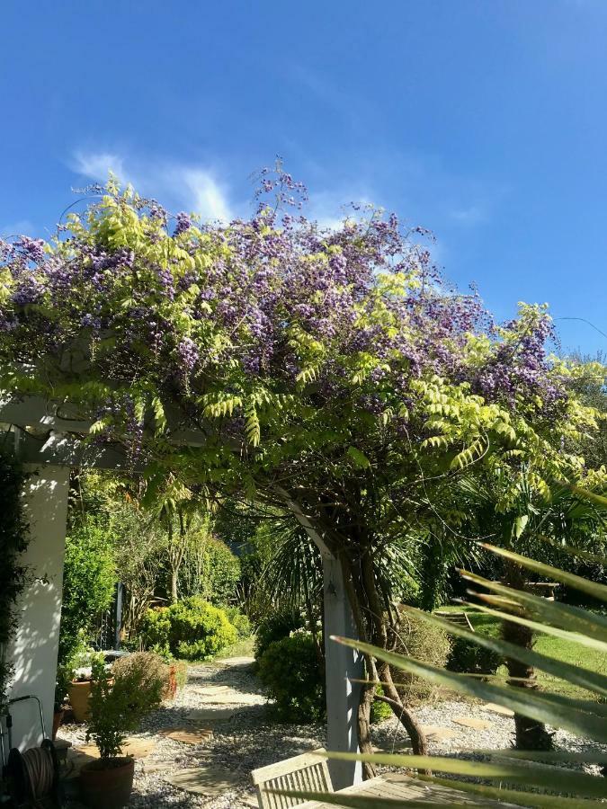 Maison Arbolateia avec piscine et Spa Bidart Extérieur photo