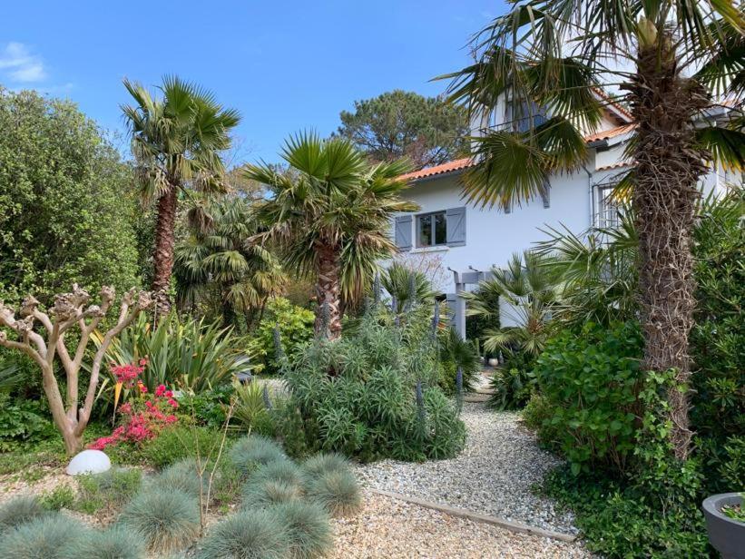 Maison Arbolateia avec piscine et Spa Bidart Extérieur photo